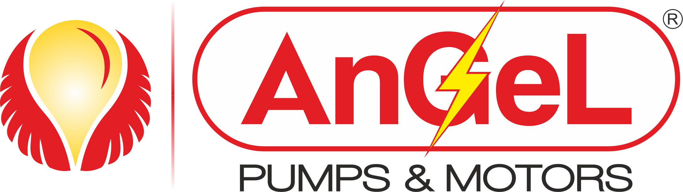 Angel Pumps (P) Ltd.